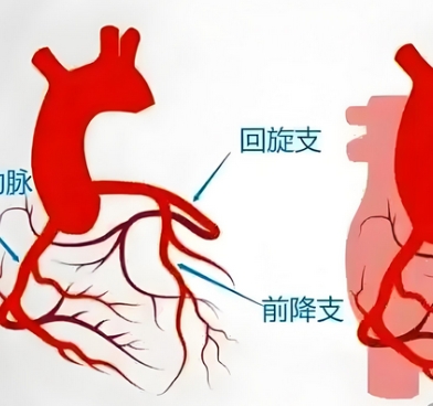 冠狀動脈介入手術控制系統